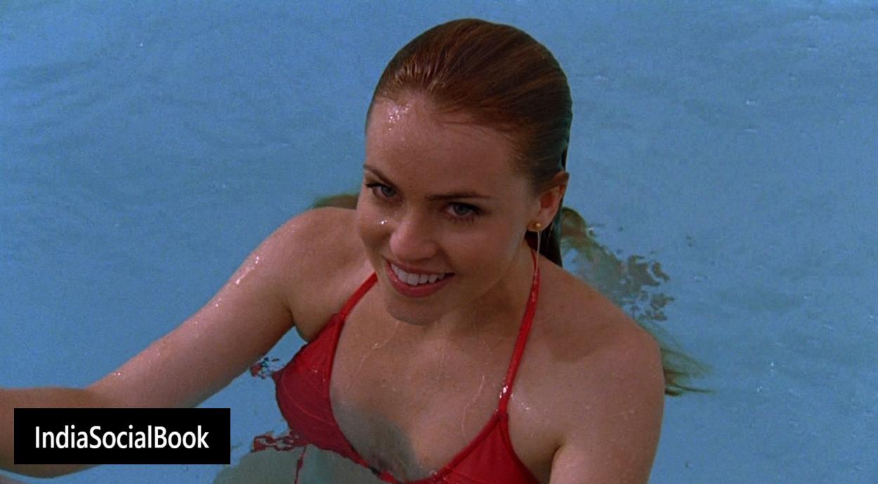 Amanda Schull nude